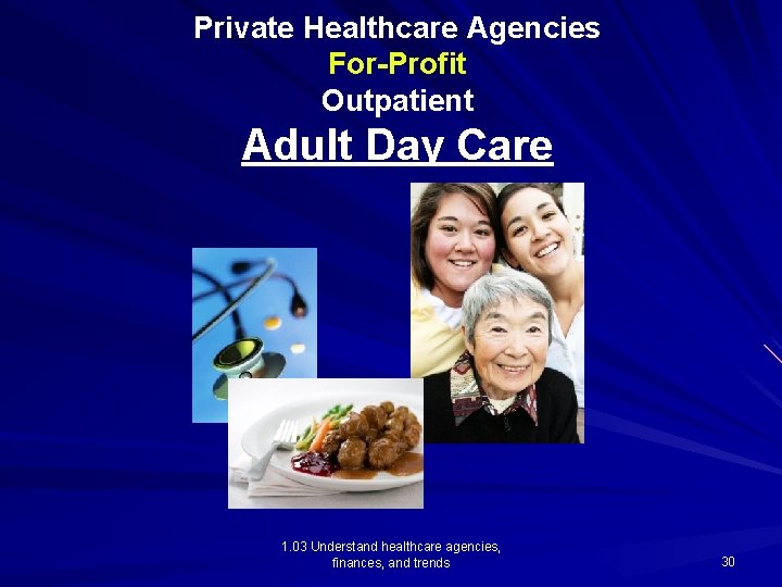 Private Healthcare Agencies For-Profit Outpatient Adult Day Care 1. 03 Understand healthcare agencies, finances,