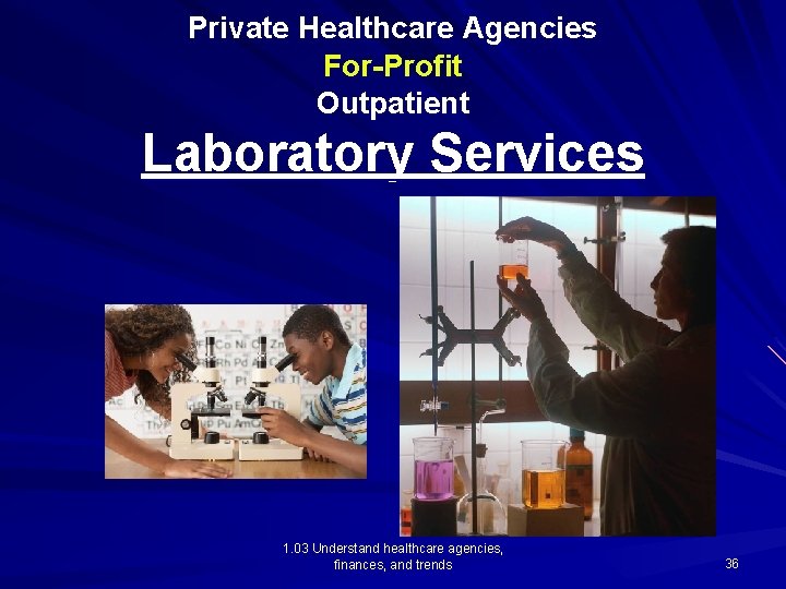 Private Healthcare Agencies For-Profit Outpatient Laboratory Services 1. 03 Understand healthcare agencies, finances, and