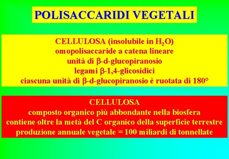 POLISACCARIDI VEGETALI CELLULOSA (insolubile in H 2 O) omopolisaccaride a catena lineare unità di