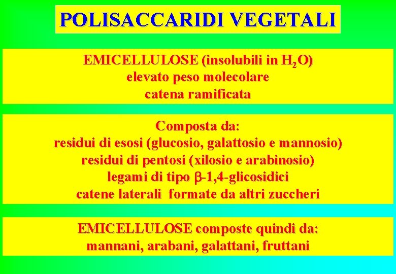 POLISACCARIDI VEGETALI EMICELLULOSE (insolubili in H 2 O) elevato peso molecolare catena ramificata Composta