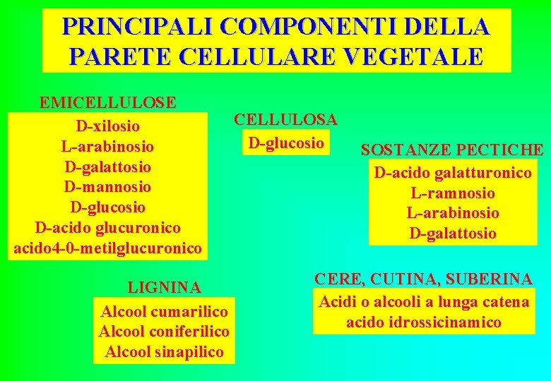 PRINCIPALI COMPONENTI DELLA PARETE CELLULARE VEGETALE EMICELLULOSE D-xilosio L-arabinosio D-galattosio D-mannosio D-glucosio D-acido glucuronico