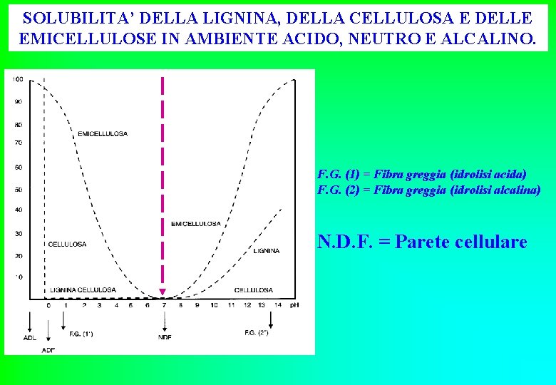 SOLUBILITA’ DELLA LIGNINA, DELLA CELLULOSA E DELLE EMICELLULOSE IN AMBIENTE ACIDO, NEUTRO E ALCALINO.