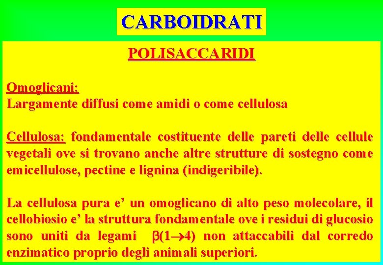 CARBOIDRATI POLISACCARIDI Omoglicani: Largamente diffusi come amidi o come cellulosa Cellulosa: fondamentale costituente delle