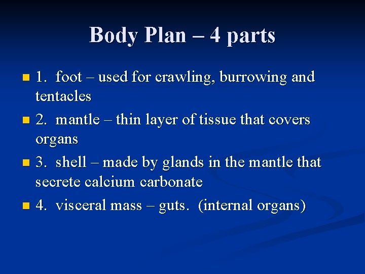 Body Plan – 4 parts 1. foot – used for crawling, burrowing and tentacles