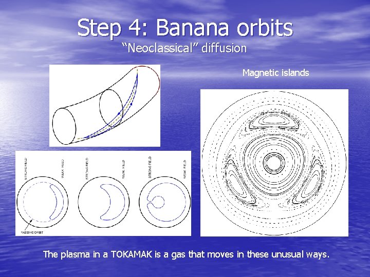 Step 4: Banana orbits “Neoclassical” diffusion Magnetic islands The plasma in a TOKAMAK is