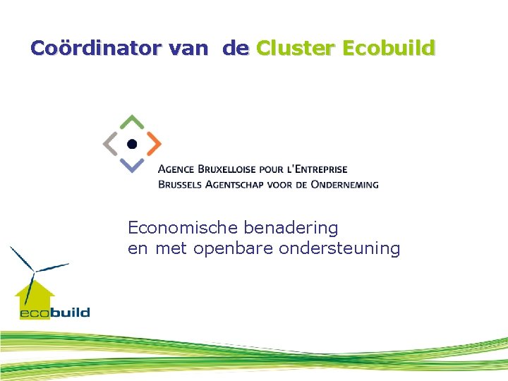 Coördinator van de Cluster Ecobuild Economische benadering en met openbare ondersteuning 