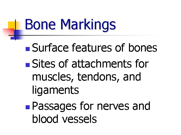 Bone Markings Surface features of bones n Sites of attachments for muscles, tendons, and