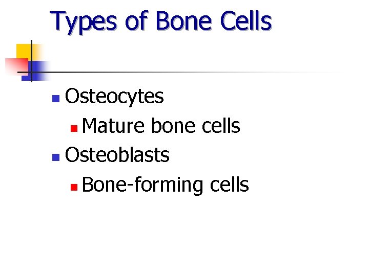 Types of Bone Cells Osteocytes n Mature bone cells n Osteoblasts n Bone-forming cells