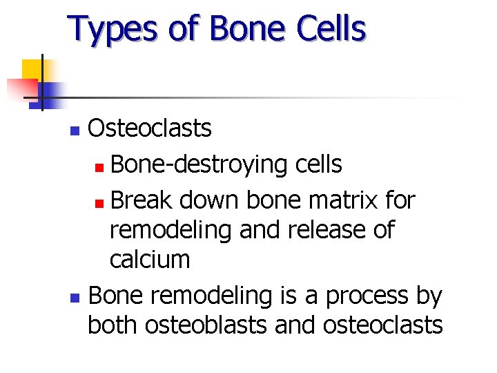 Types of Bone Cells Osteoclasts n Bone-destroying cells n Break down bone matrix for