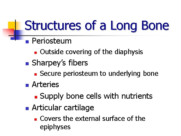 Structures of a Long Bone n Periosteum n n Sharpey’s fibers n n n