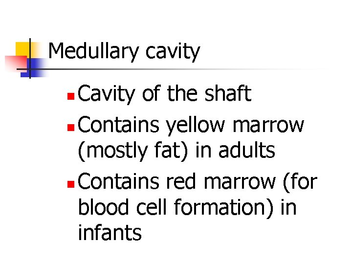 Medullary cavity Cavity of the shaft n Contains yellow marrow (mostly fat) in adults