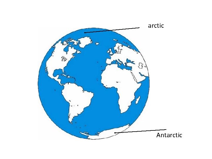 arctic Antarctic 