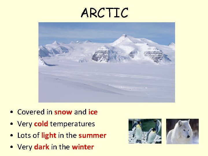 ARCTIC • • Covered in snow and ice Very cold temperatures Lots of light