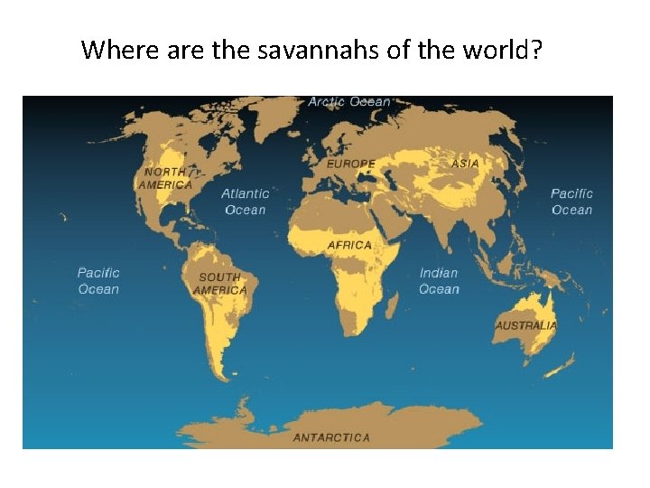 Where are the savannahs of the world? 