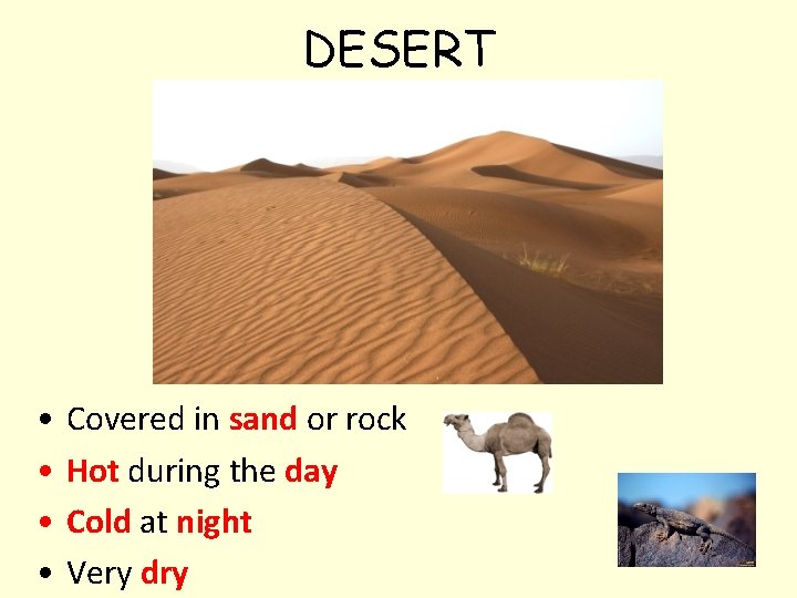 DESERT • • Covered in sand or rock Hot during the day Cold at