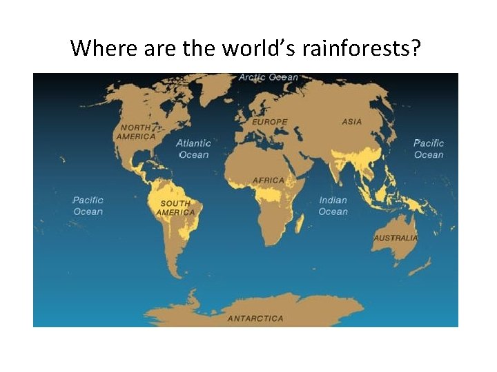 Where are the world’s rainforests? 