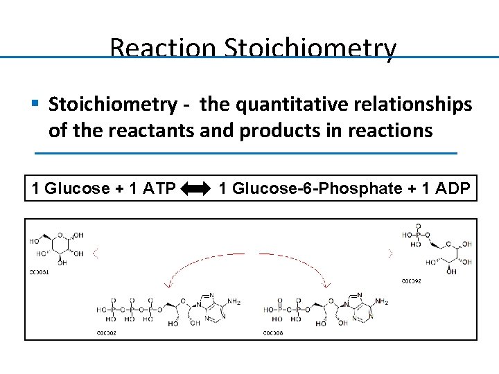 Reaction Stoichiometry § Stoichiometry - the quantitative relationships of the reactants and products in