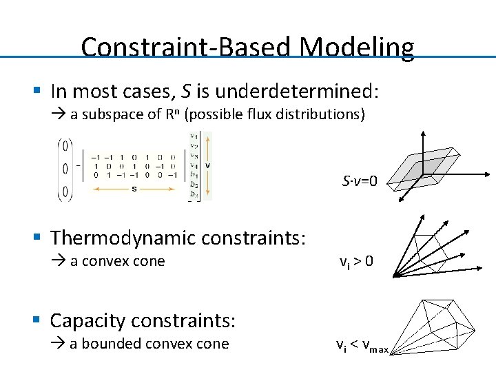 Constraint-Based Modeling § In most cases, S is underdetermined: a subspace of Rn (possible