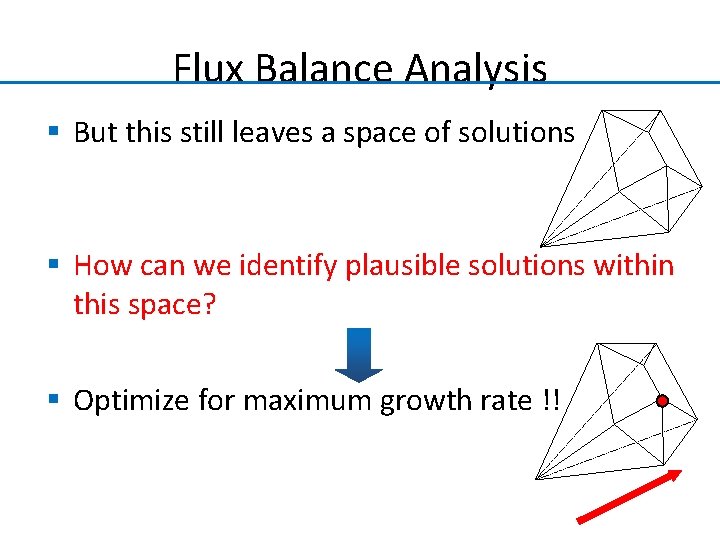 Flux Balance Analysis § But this still leaves a space of solutions § How