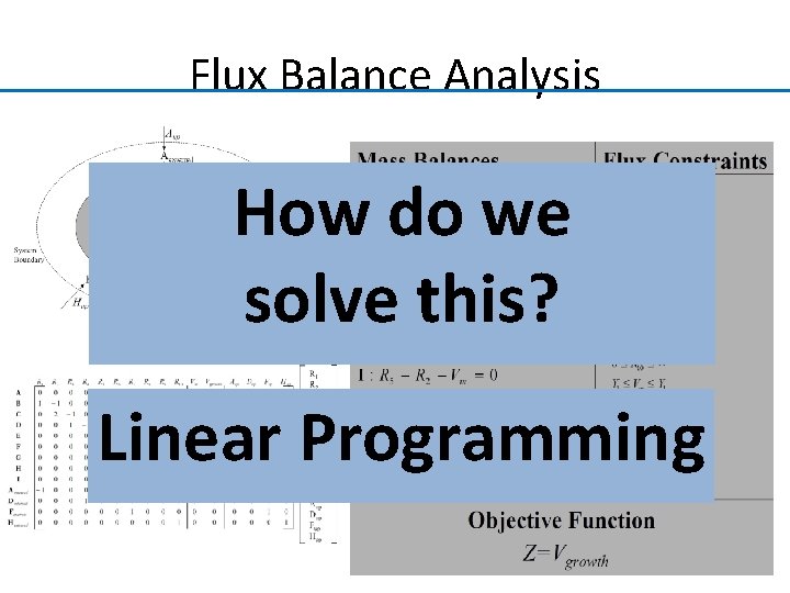 Flux Balance Analysis How do we solve this? Linear Programming 