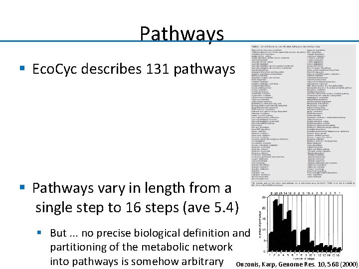 Pathways § Eco. Cyc describes 131 pathways § Pathways vary in length from a