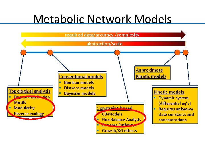 Metabolic Network Models required data/accuracy /complexity abstraction/scale Conventional models Topological analysis § § Degree