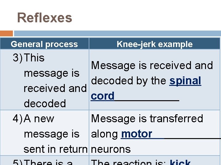 WarmUp Draw a motor neuron and label its