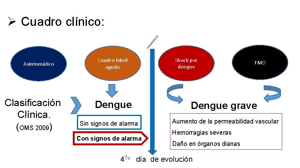 Ø Cuadro clínico: Asintomático Clasificación Clínica. (OMS 2009) Cuadro febril agudo Dengue Sin signos