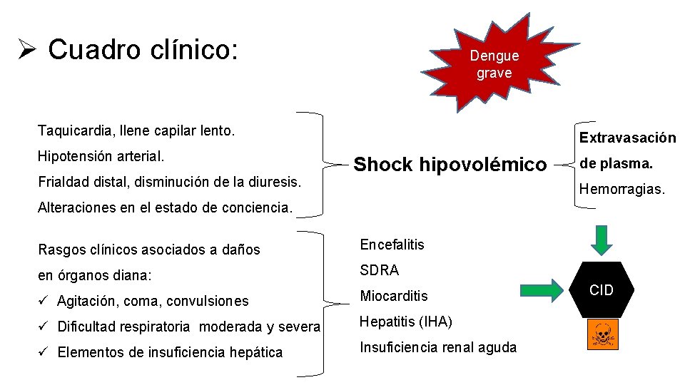 Ø Cuadro clínico: Dengue grave Taquicardia, llene capilar lento. Hipotensión arterial. Frialdad distal, disminución