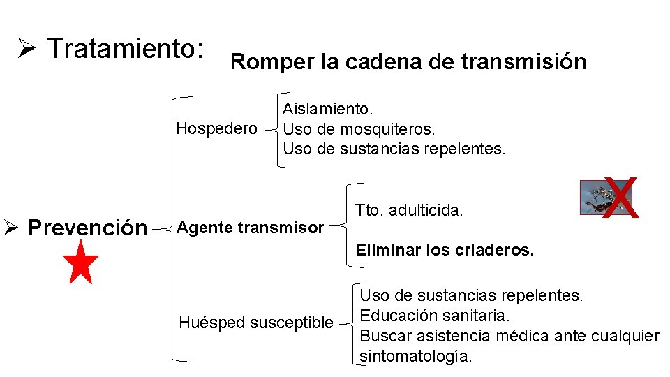 Ø Tratamiento: Romper la cadena de transmisión Hospedero Ø Prevención Aislamiento. Uso de mosquiteros.
