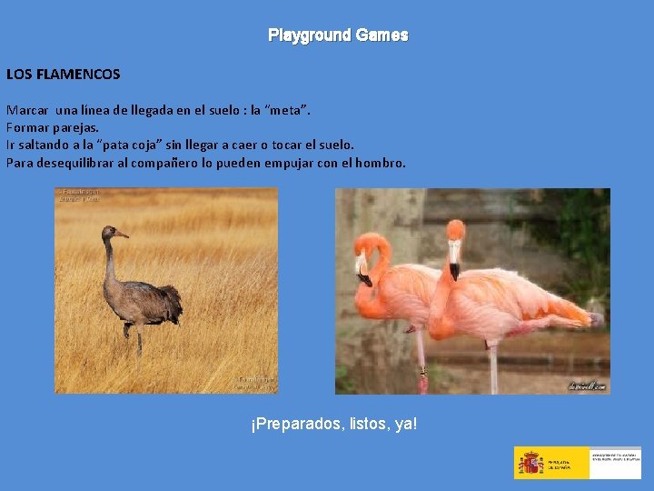 Playground Games LOS FLAMENCOS Marcar una línea de llegada en el suelo : la