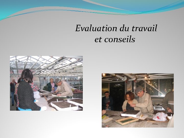 Evaluation du travail et conseils 