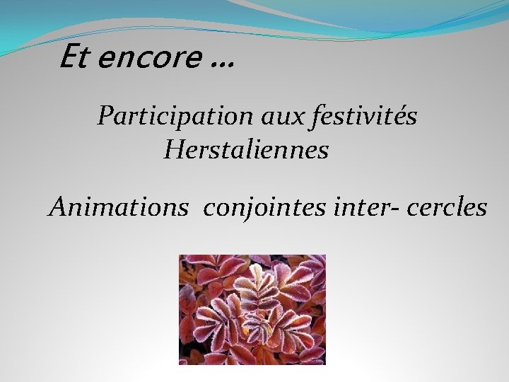 Et encore … Participation aux festivités Herstaliennes Animations conjointes inter- cercles 