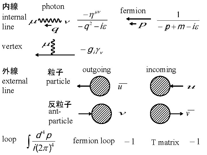 内線 internal line photon fermion vertex 外線 external line 粒子 particle outgoing incoming 反粒子