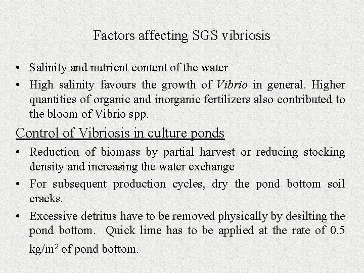 Factors affecting SGS vibriosis • Salinity and nutrient content of the water • High