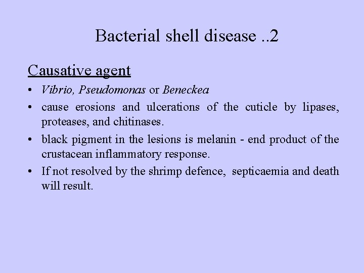 Bacterial shell disease. . 2 Causative agent • Vibrio, Pseudomonas or Beneckea • cause