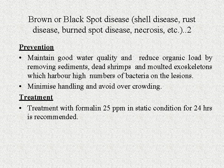 Brown or Black Spot disease (shell disease, rust disease, burned spot disease, necrosis, etc.