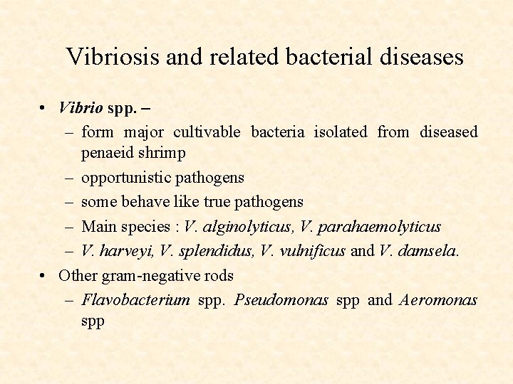 Vibriosis and related bacterial diseases • Vibrio spp. – – form major cultivable bacteria