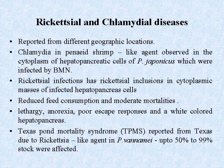 Rickettsial and Chlamydial diseases • Reported from different geographic locations. • Chlamydia in penaeid