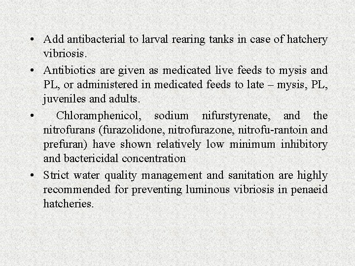  • Add antibacterial to larval rearing tanks in case of hatchery vibriosis. •