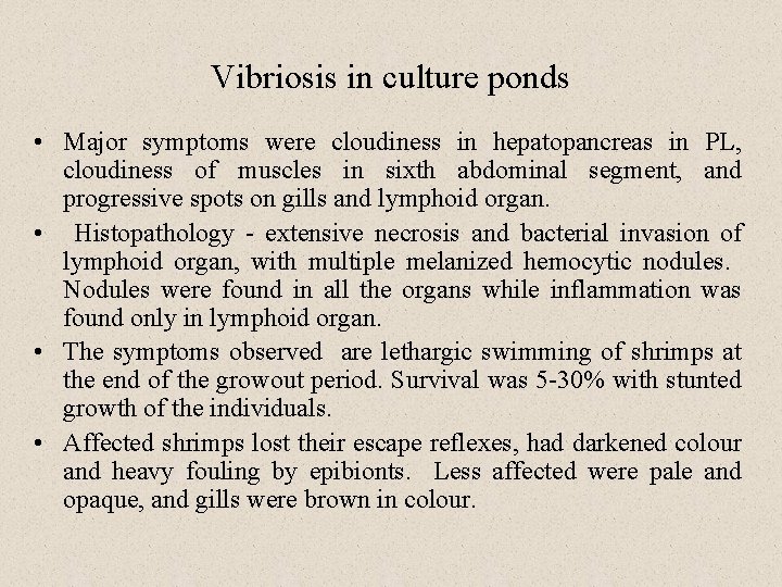 Vibriosis in culture ponds • Major symptoms were cloudiness in hepatopancreas in PL, cloudiness