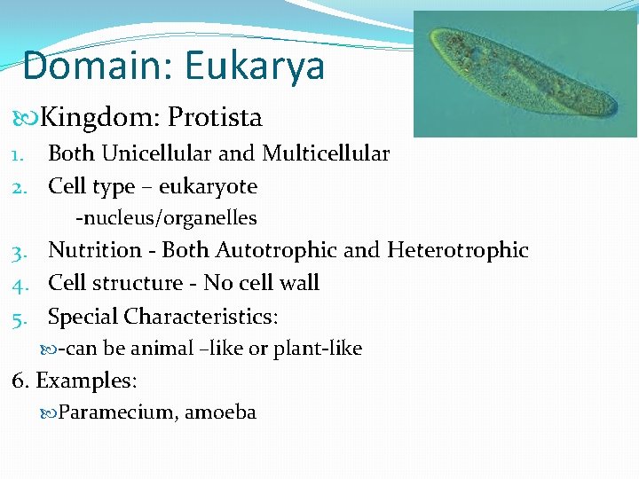 Domain: Eukarya Kingdom: Protista 1. Both Unicellular and Multicellular 2. Cell type – eukaryote