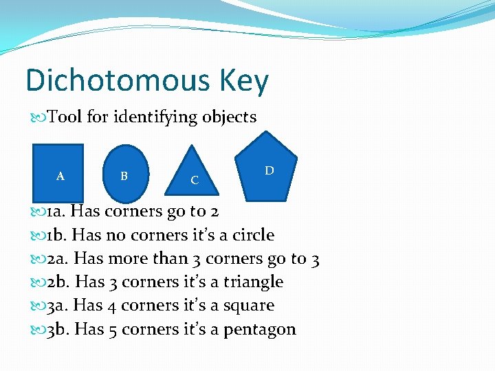 Dichotomous Key Tool for identifying objects A B C D 1 a. Has corners