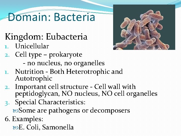 Domain: Bacteria Kingdom: Eubacteria 1. Unicellular 2. Cell type – prokaryote - no nucleus,