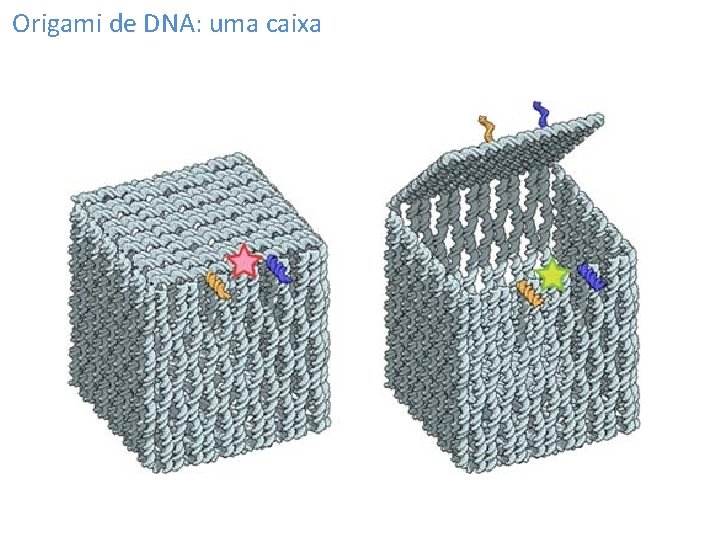 Origami de DNA: uma caixa 