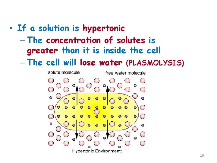 Hypertonic Solution • If a solution is hypertonic – The concentration of solutes is