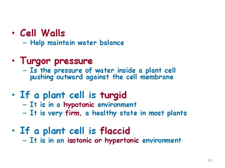 Water Balance of Cells with Walls • Cell Walls – Help maintain water balance