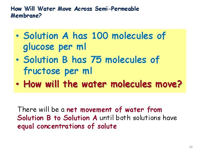 How Will Water Move Across Semi-Permeable Membrane? • Solution A has 100 molecules of