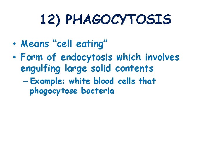 12) PHAGOCYTOSIS • Means “cell eating” • Form of endocytosis which involves engulfing large