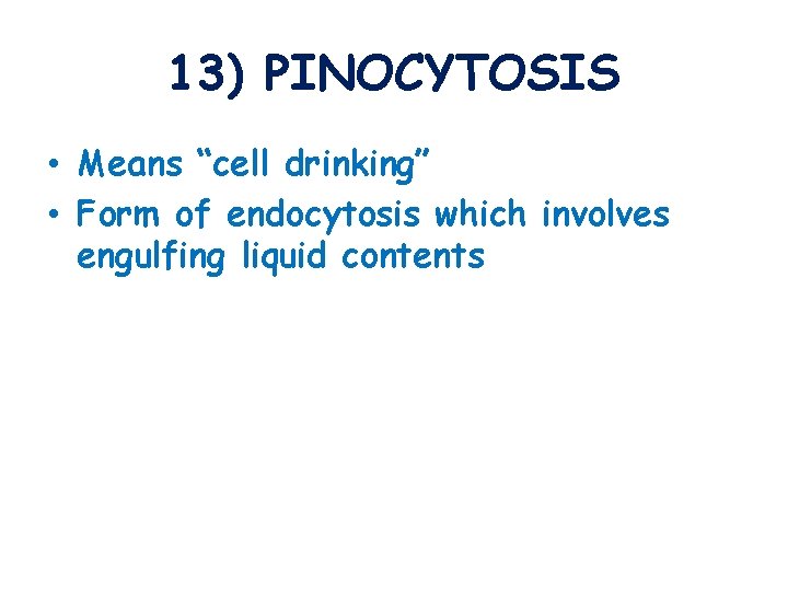 13) PINOCYTOSIS • Means “cell drinking” • Form of endocytosis which involves engulfing liquid